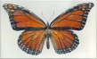 Don Nice Monarch, 1968 Acrylique sur toile 139,7 x 233,6 cm