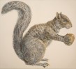 Don Nice Squirrel, 1974 Acrylique sur toile 150 x 135 cm