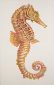 Don Nice Seahorse, 2004 Aquarelle 102,5 x 65 cm