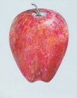 Don Nice, "Apple II", 1963, Huile sur toile, 96,5 x 76,2 cm